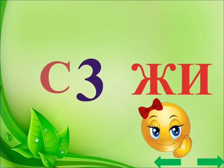 С 3 ЖИ