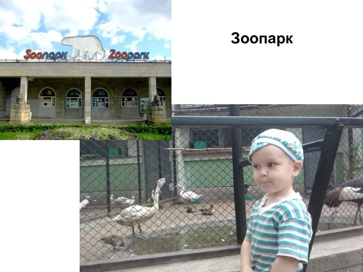 Зоопарк