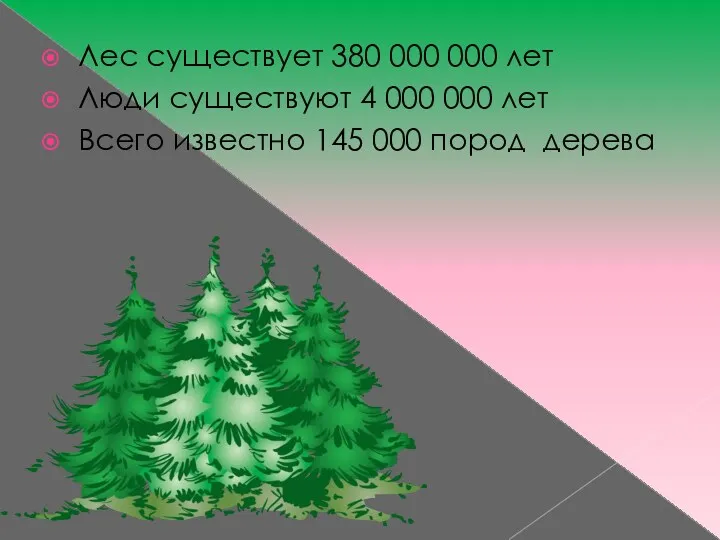 Лес существует 380 000 000 лет Люди существуют 4 000