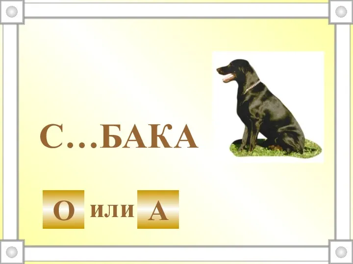 С…БАКА или О А