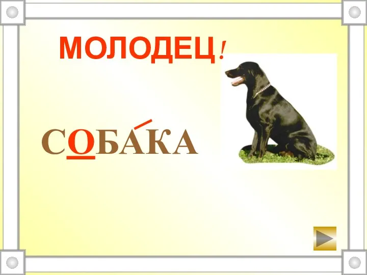 СОБАКА МОЛОДЕЦ!