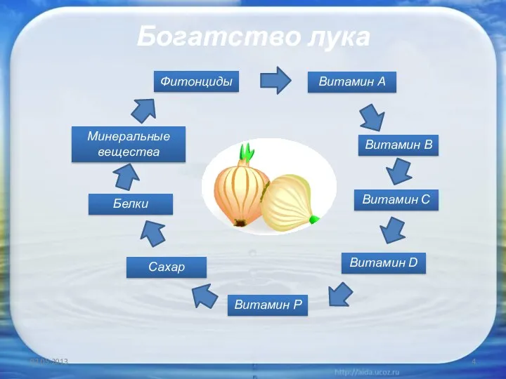 Богатство лука Витамин А Витамин B Витамин C Витамин D Витамин P Сахар