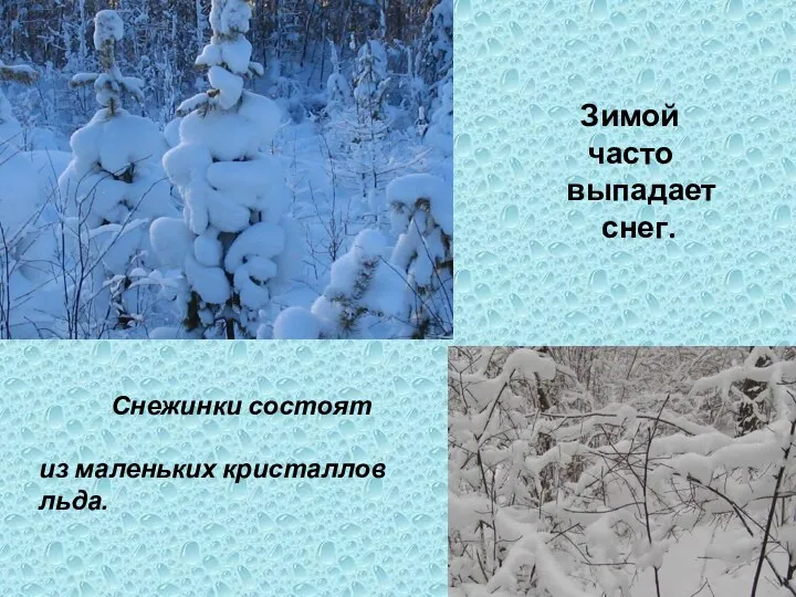 Зимой часто выпадает снег. Снежинки состоят из маленьких кристаллов льда.