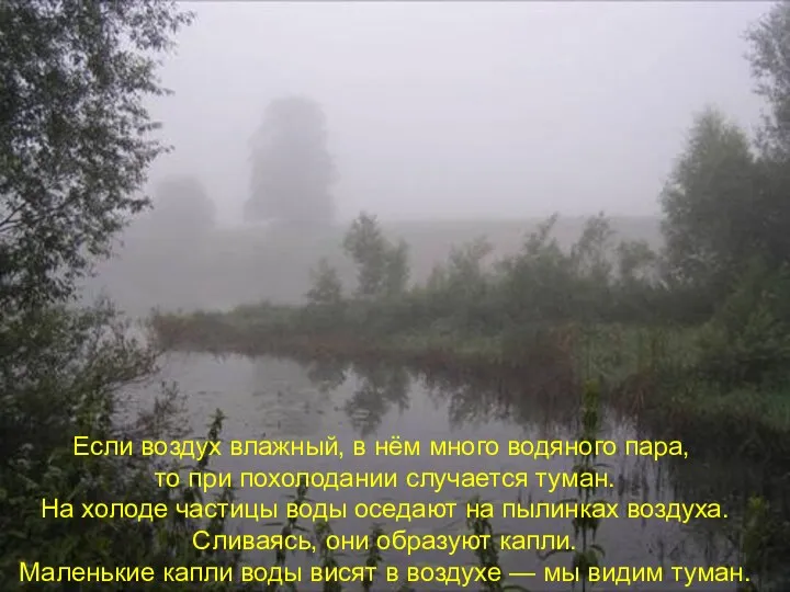 Если воздух влажный, в нём много водяного пара, то при похолодании случается туман.