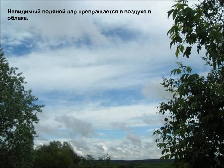 Невидимый водяной пар превращается в воздухе в облака.