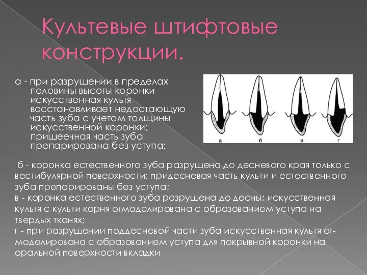 Культевые штифтовые конструкции. а - при разрушении в пределах половины высоты коронки искусственная