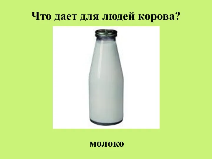 Что дает для людей корова? молоко