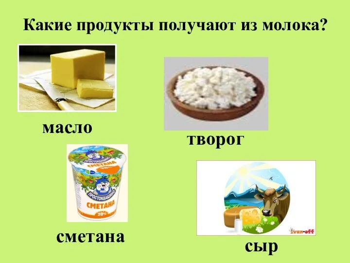 Какие продукты получают из молока? масло творог сыр сметана