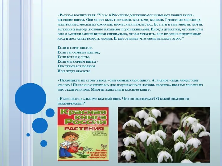 - Рассказ воспитателя: “У нас в России подснежниками называют любые ранне-весенние цветы. Они
