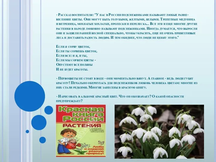 - Рассказ воспитателя: “У нас в России подснежниками называют любые
