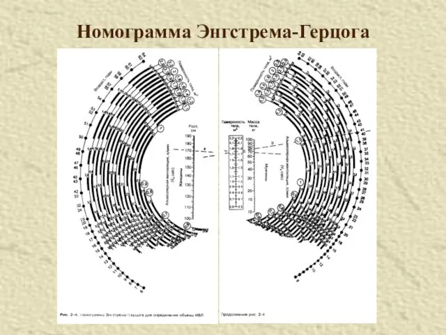 Номограмма Энгстрема-Герцога