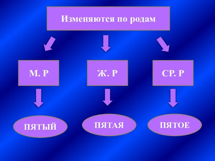 Изменяются по родам М. Р Ж. Р СР. Р ПЯТЫЙ ПЯТАЯ ПЯТОЕ