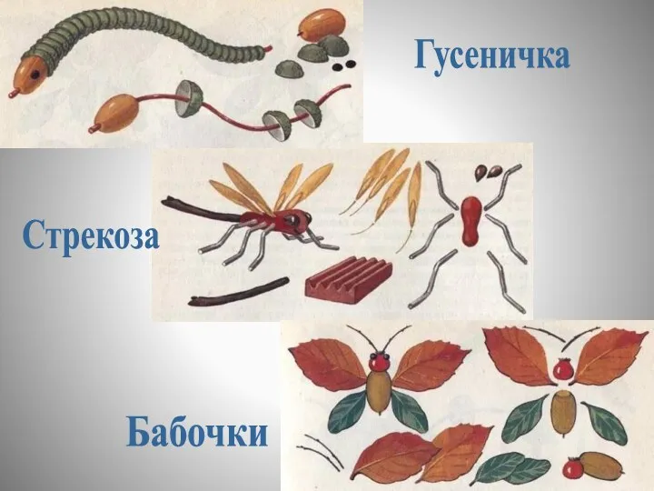 Гусеничка Стрекоза Бабочки