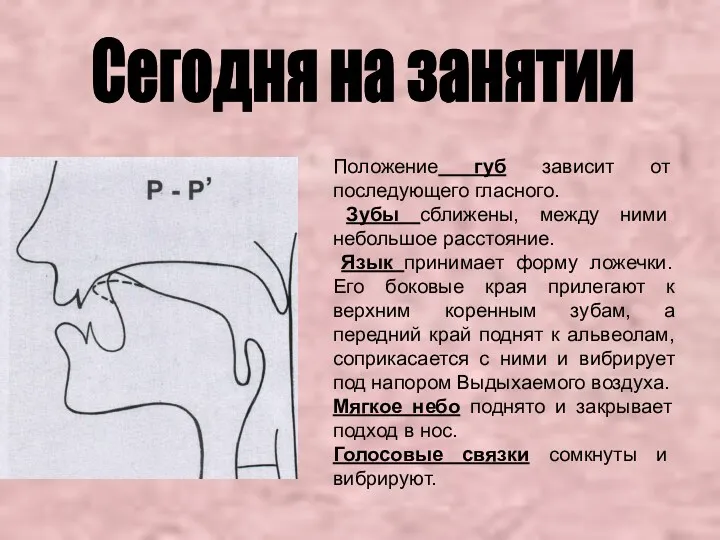 Положение губ зависит от последующего гласного. Зубы сближены, между ними