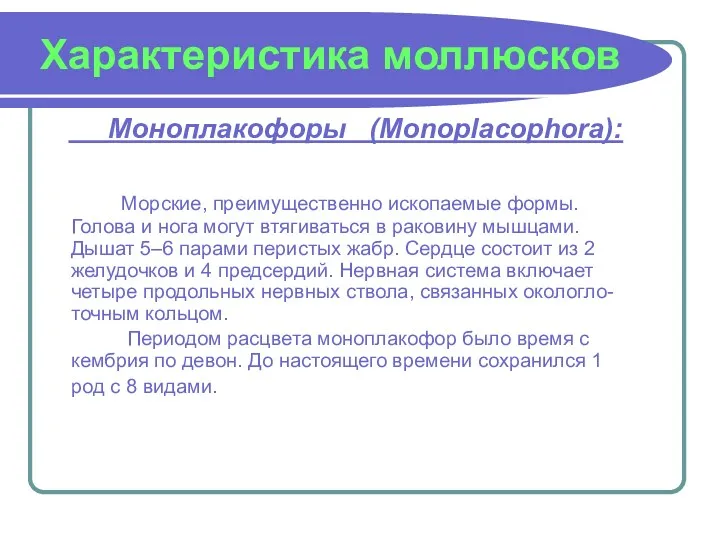 Характеристика моллюсков Моноплакофоры (Monoplacophora): Морские, преимущественно ископаемые формы. Голова и