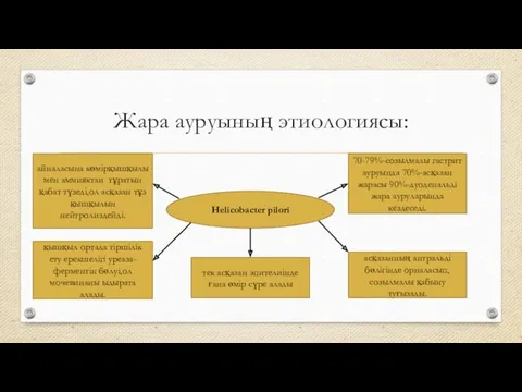 Жара ауруының этиологиясы: Helicobacter pilori 70-79%-созылмалы гастрит ауруында 70%-асқазан жарасы