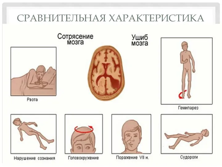 СРАВНИТЕЛЬНАЯ ХАРАКТЕРИСТИКА