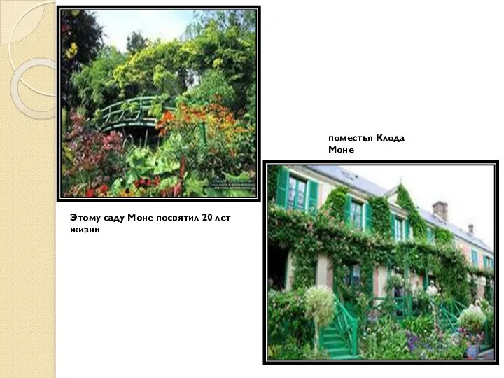 Этому саду Моне посвятил 20 лет жизни поместья Клода Моне