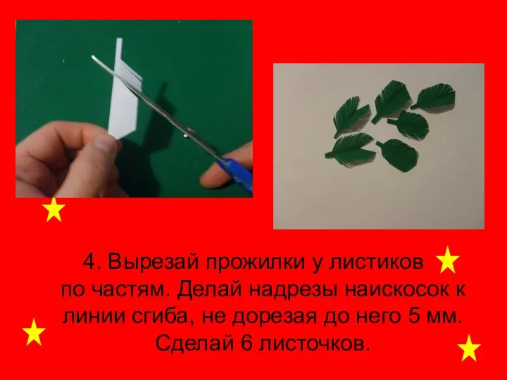 4. Вырезай прожилки у листиков по частям. Делай надрезы наискосок