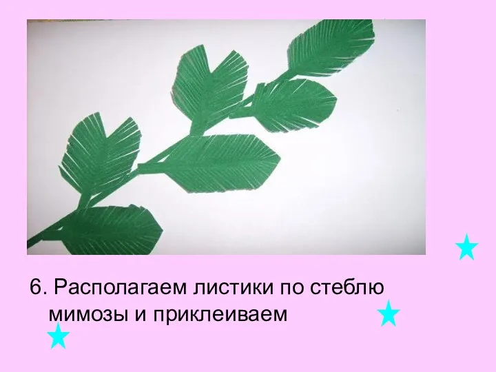 6. Располагаем листики по стеблю мимозы и приклеиваем