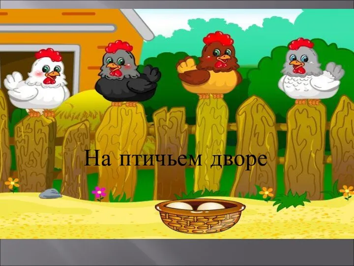 На птичьем дворе