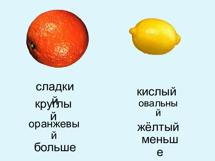 сладкий овальный круглый жёлтый кислый меньше больше оранжевый
