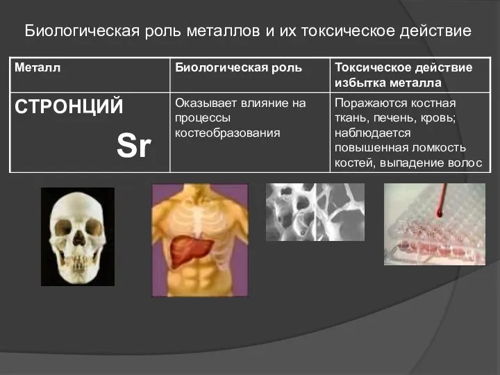 Биологическая роль металлов и их токсическое действие