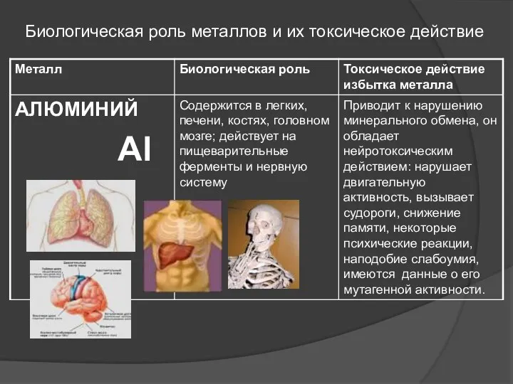 Биологическая роль металлов и их токсическое действие