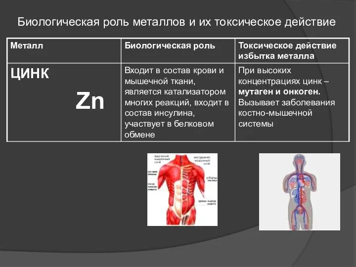 Биологическая роль металлов и их токсическое действие