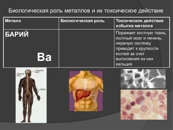 Биологическая роль металлов и их токсическое действие