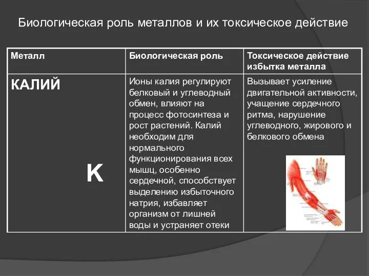 Биологическая роль металлов и их токсическое действие