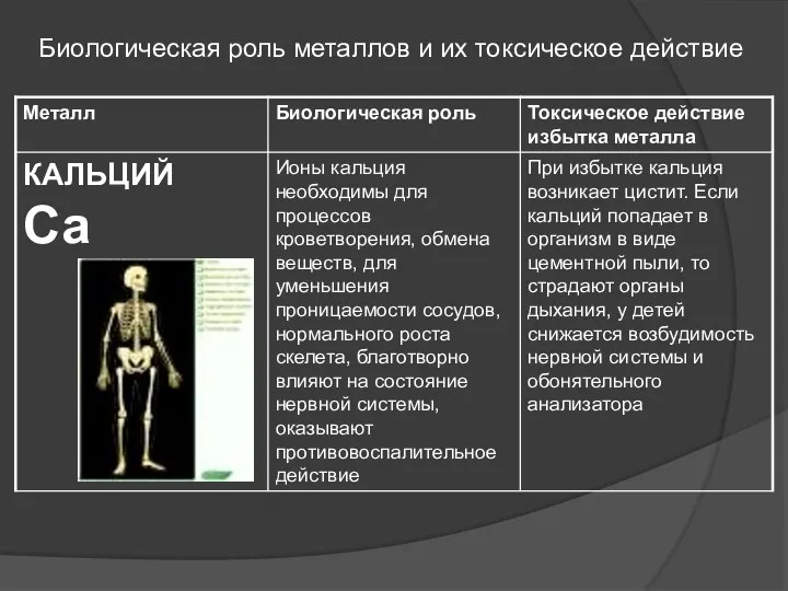 Биологическая роль металлов и их токсическое действие