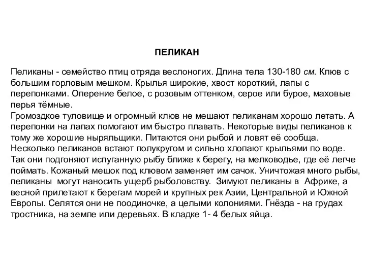 Пеликаны - семейство птиц отряда веслоногих. Длина тела 130-180 см.