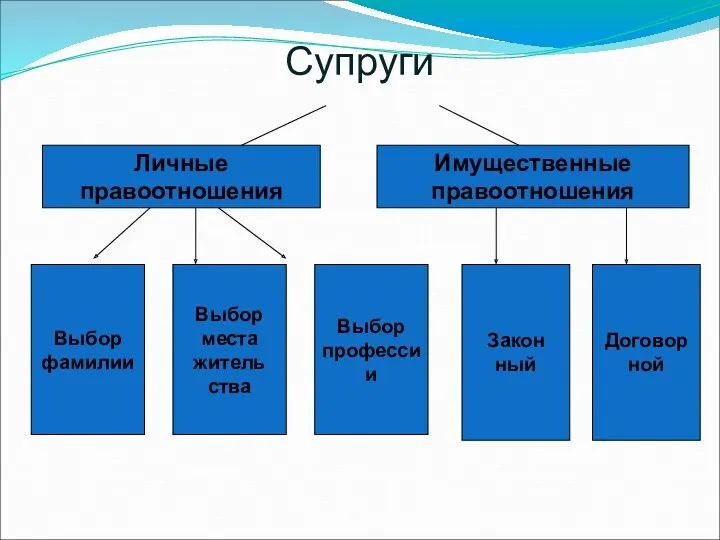 Супруги Личные правоотношения Имущественные правоотношения Выбор фамилии Выбор места житель