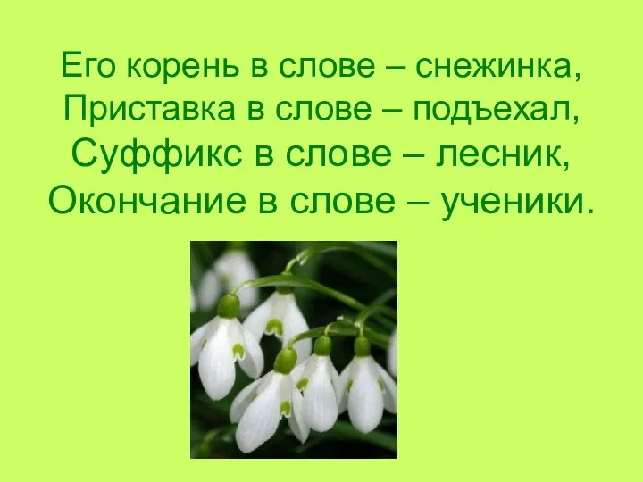 Его корень в слове – снежинка, Приставка в слове –