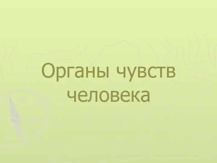 Органы чувств человека