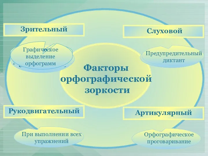 Рукодвигательный Артикулярный Слуховой Зрительный