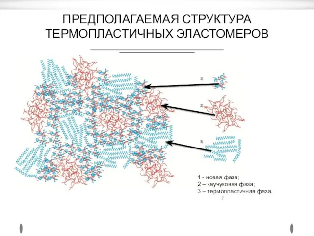 ПРЕДПОЛАГАЕМАЯ СТРУКТУРА ТЕРМОПЛАСТИЧНЫХ ЭЛАСТОМЕРОВ 1 - новая фаза; 2 – каучуковая фаза; 3 – термопластичная фаза.