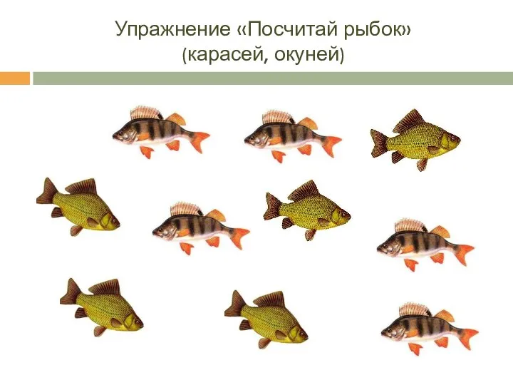 Упражнение «Посчитай рыбок» (карасей, окуней)