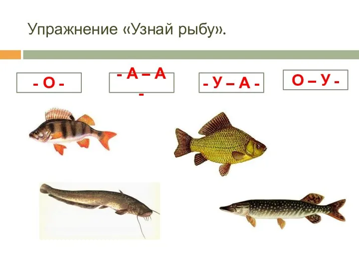 Упражнение «Узнай рыбу». - О - - А – А