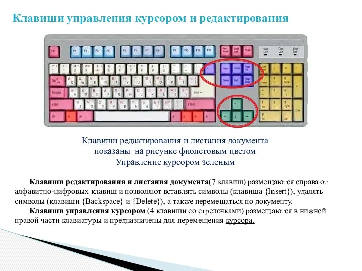 Клавиши редактирования и листания документа(7 клавиш) размещаются справа от алфавитно-цифровых
