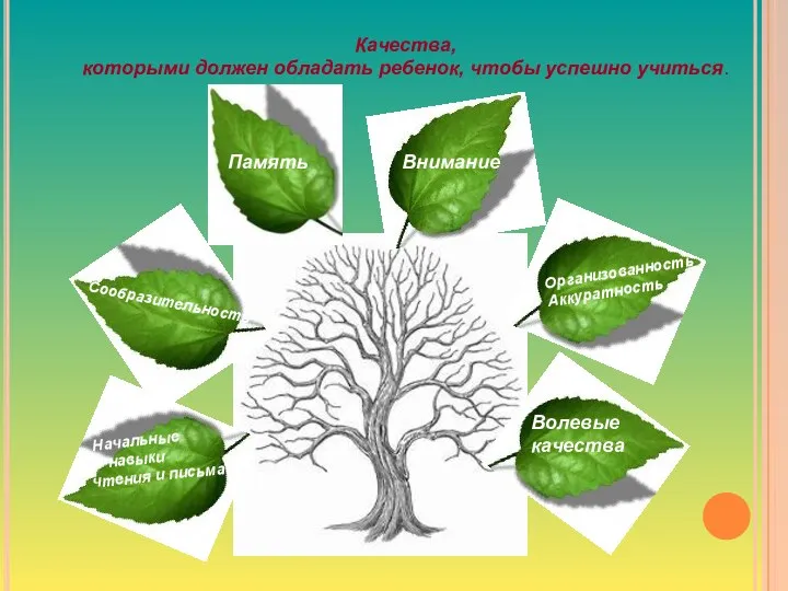 Качества, которыми должен обладать ребенок, чтобы успешно учиться. Внимание Память