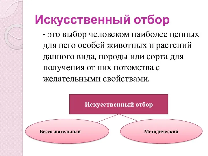 Искусственный отбор - это выбор человеком наиболее ценных для него