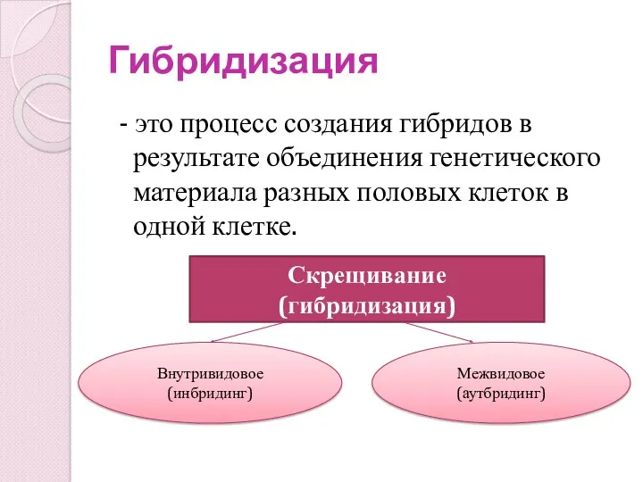 Гибридизация - это процесс создания гибридов в результате объединения генетического