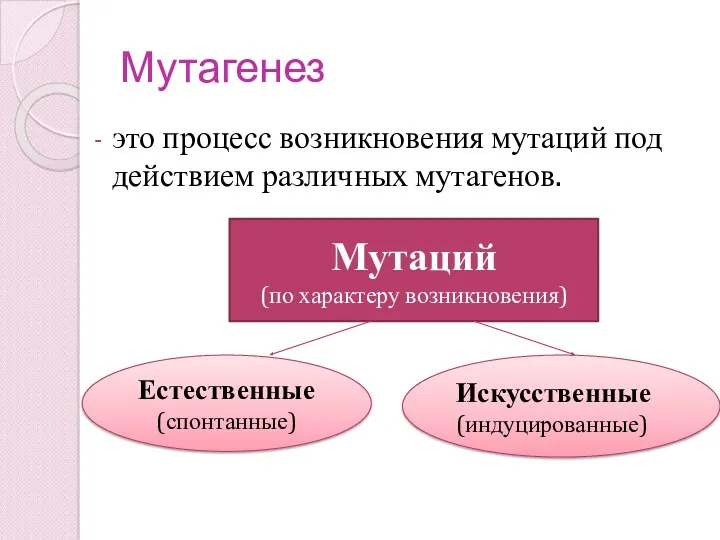 Мутагенез это процесс возникновения мутаций под действием различных мутагенов. Естественные