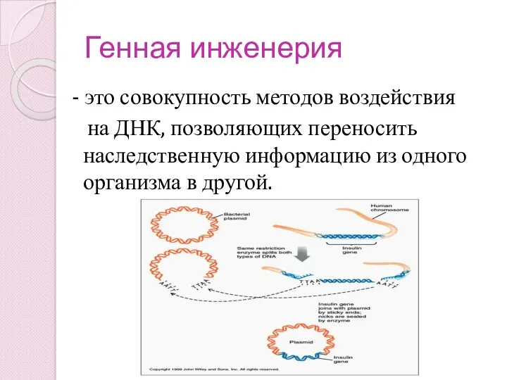 Генная инженерия - это совокупность методов воздействия на ДНК, позволяющих