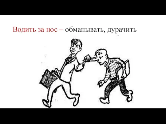 Водить за нос – обманывать, дурачить