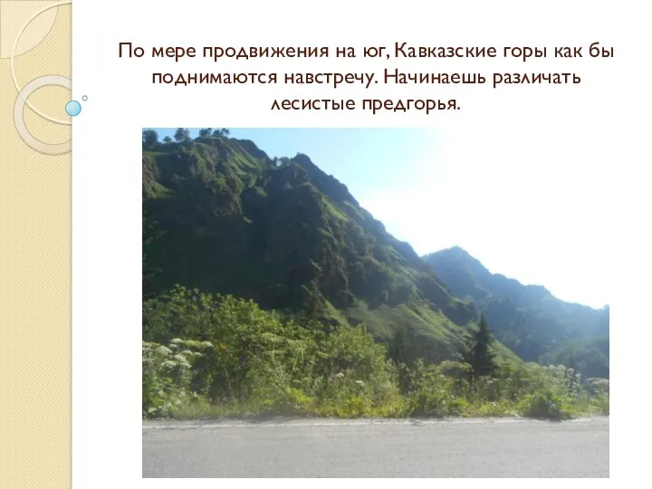 По мере продвижения на юг, Кавказские горы как бы поднимаются навстречу. Начинаешь различать лесистые предгорья.