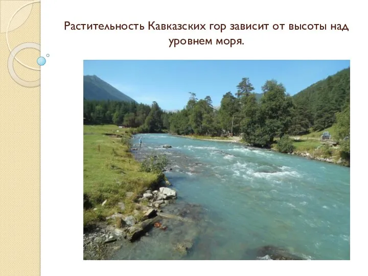 Растительность Кавказских гор зависит от высоты над уровнем моря.