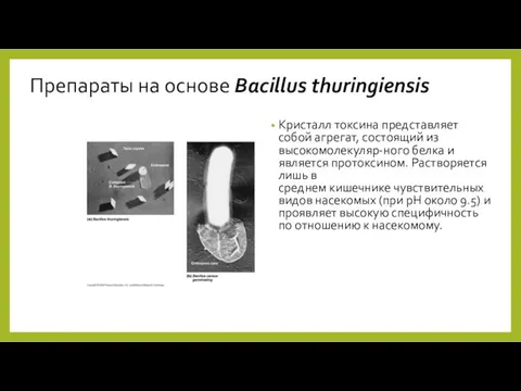 Препараты на основе Bacillus thuringiensis Кристалл токсина представляет собой агрегат,